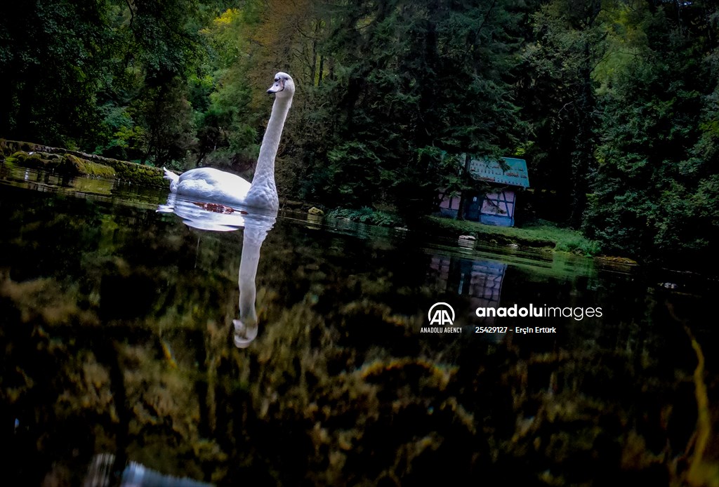 Vrelo Bosne National Park in Sarajevo