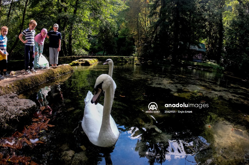 Vrelo Bosne National Park in Sarajevo