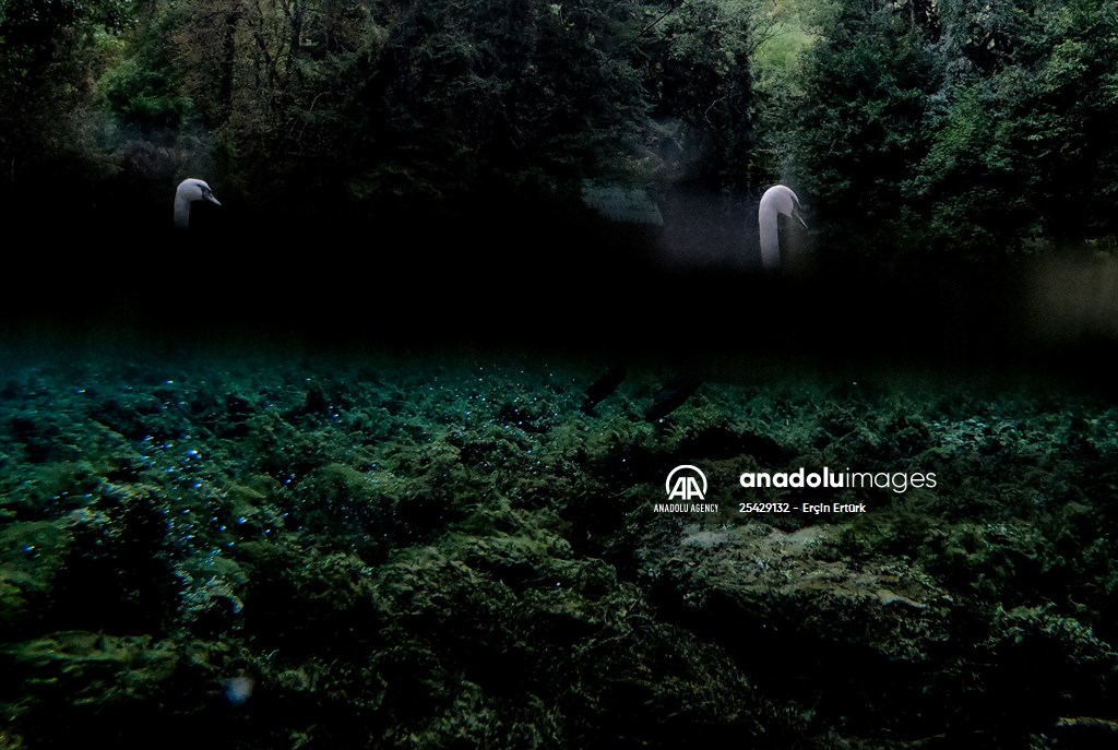 Vrelo Bosne National Park in Sarajevo