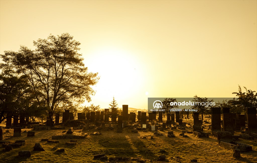 Tombstones at Ahlat Seljuk Square Cemetery in Turkey's Bitlis