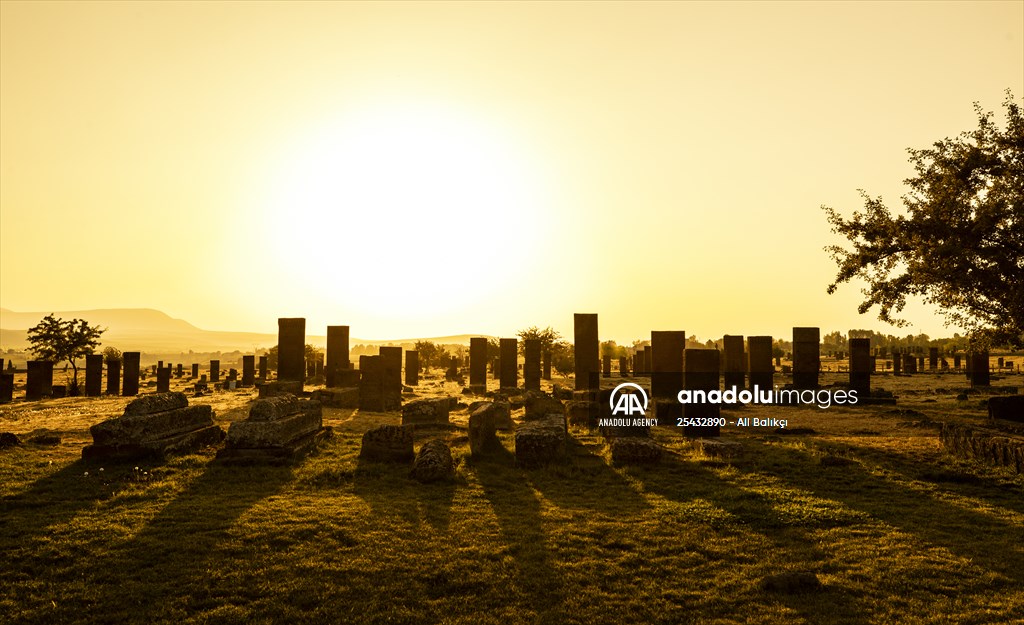 Tombstones at Ahlat Seljuk Square Cemetery in Turkey's Bitlis
