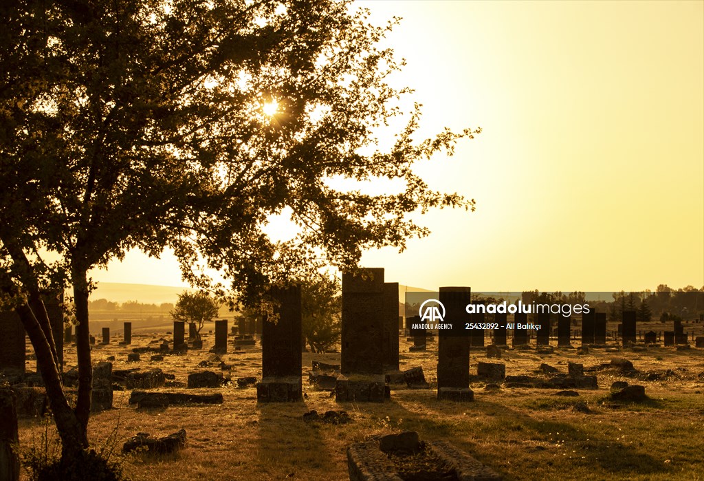 Tombstones at Ahlat Seljuk Square Cemetery in Turkey's Bitlis
