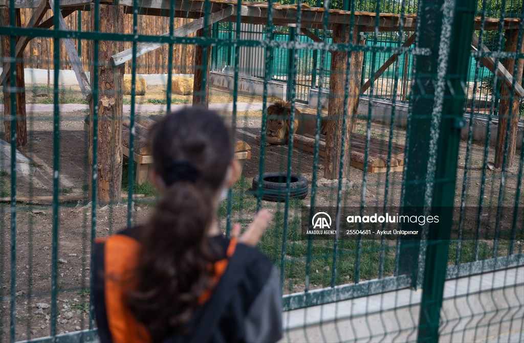 Lion Park in Turkish capital Ankara