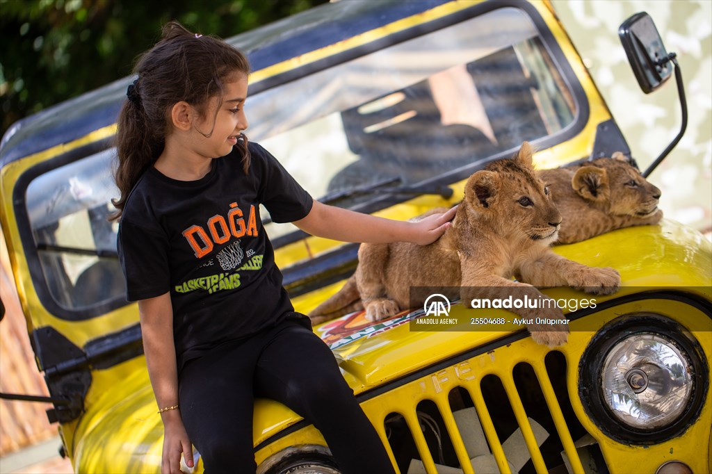 Lion Park in Turkish capital Ankara