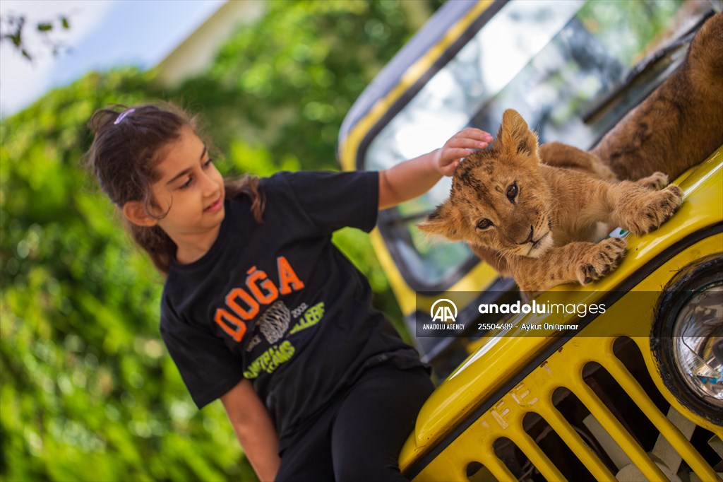Lion Park in Turkish capital Ankara