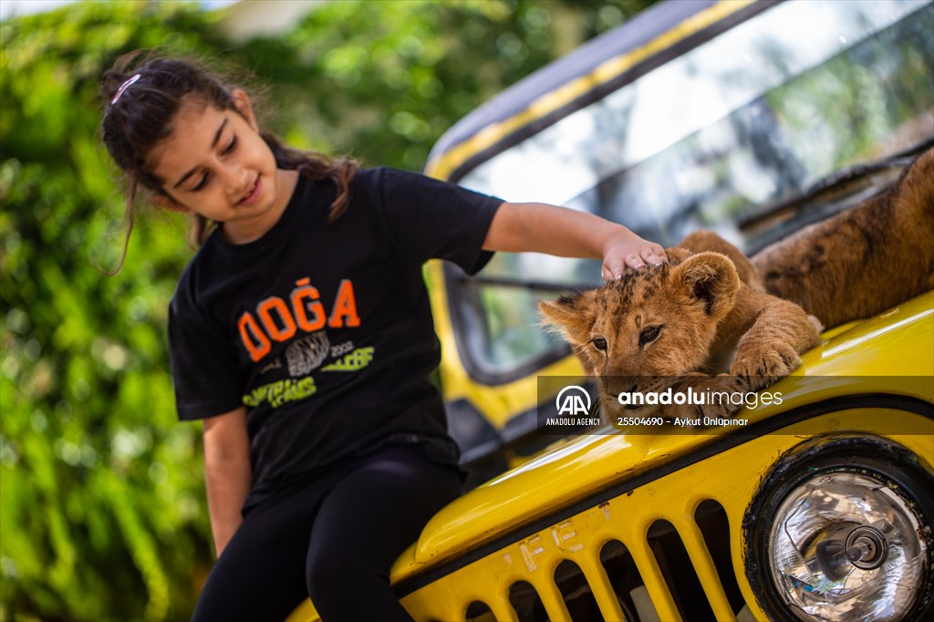 Lion Park in Turkish capital Ankara