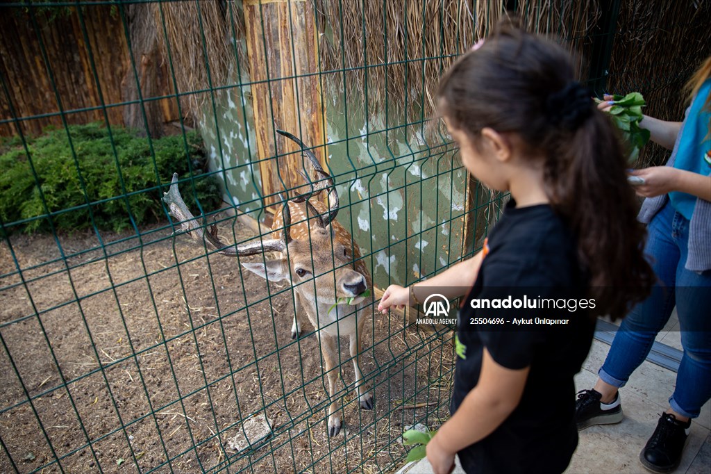 Lion Park in Turkish capital Ankara