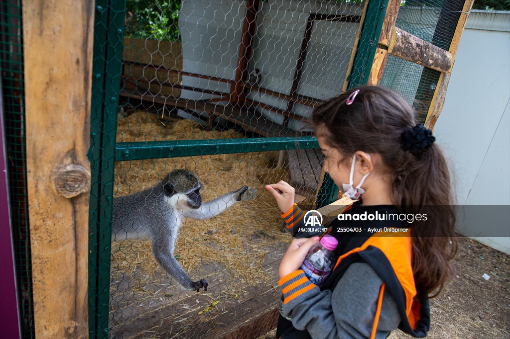 Lion Park in Turkish capital Ankara