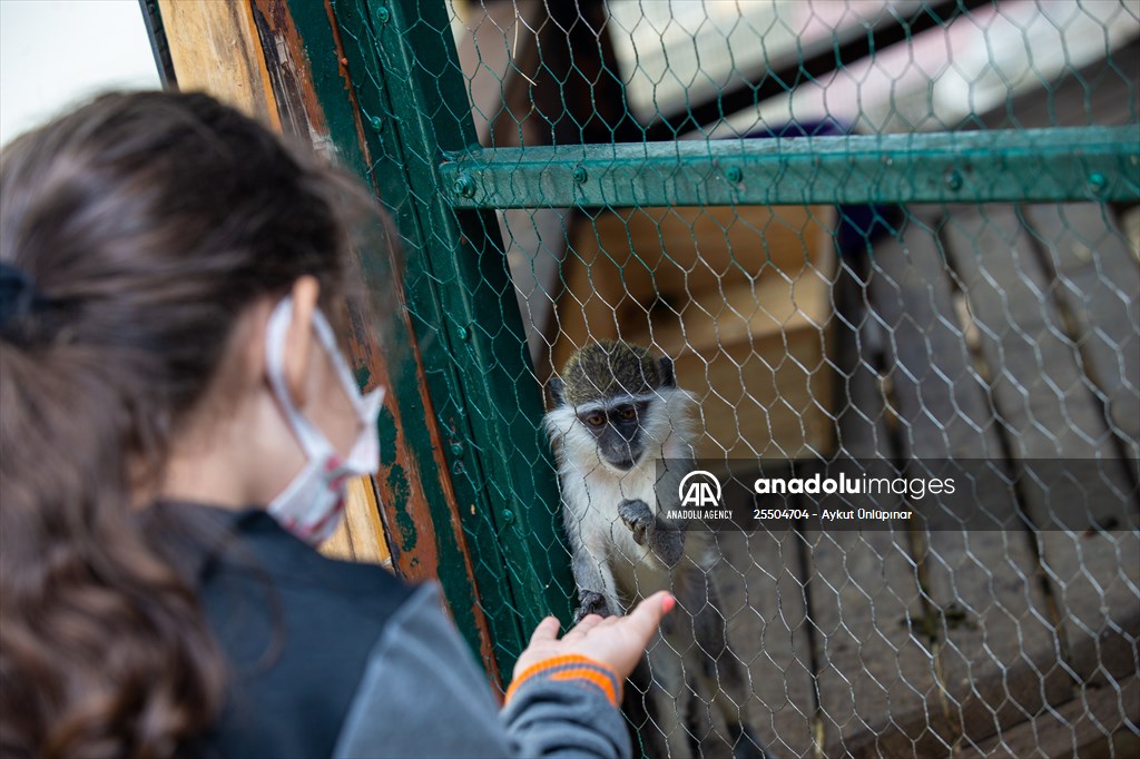 Lion Park in Turkish capital Ankara
