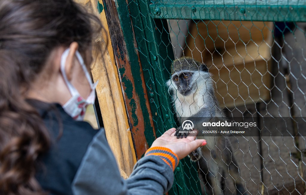 Lion Park in Turkish capital Ankara