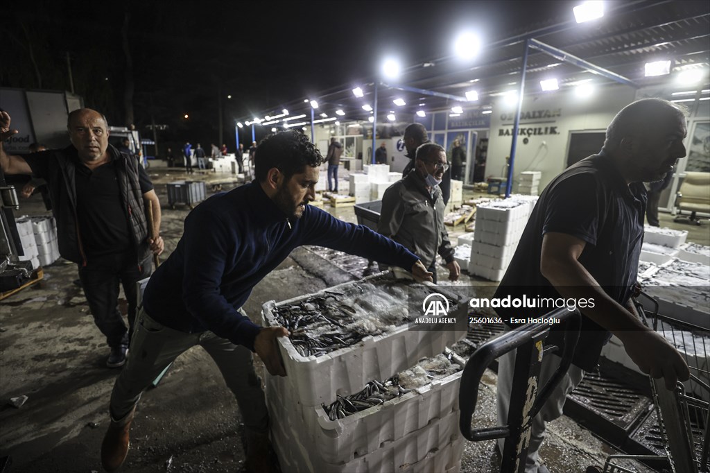 Fish market in Ankara after the beginning of fishing season