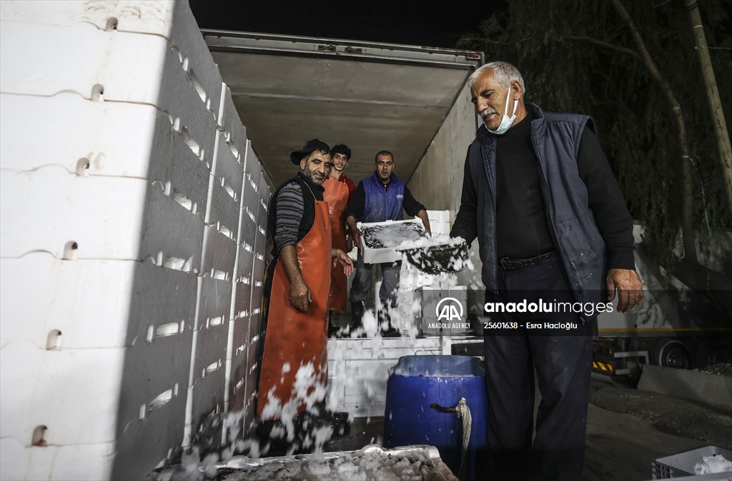 Fish market in Ankara after the beginning of fishing season