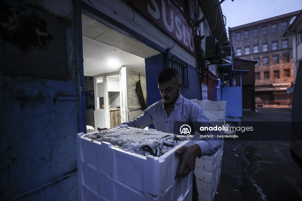 Fish market in Ankara after the beginning of fishing season