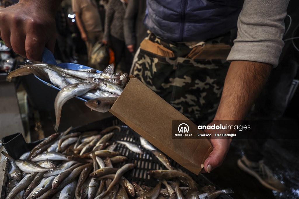 Fish market in Ankara after the beginning of fishing season