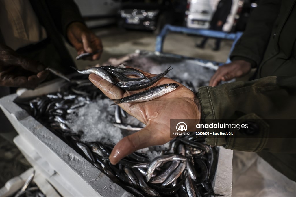 Fish market in Ankara after the beginning of fishing season