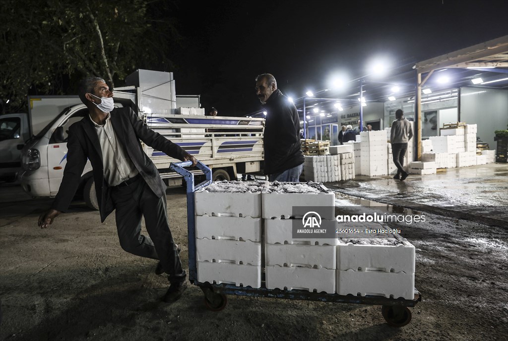 Fish market in Ankara after the beginning of fishing season