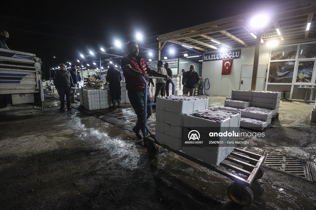 Fish market in Ankara after the beginning of fishing season