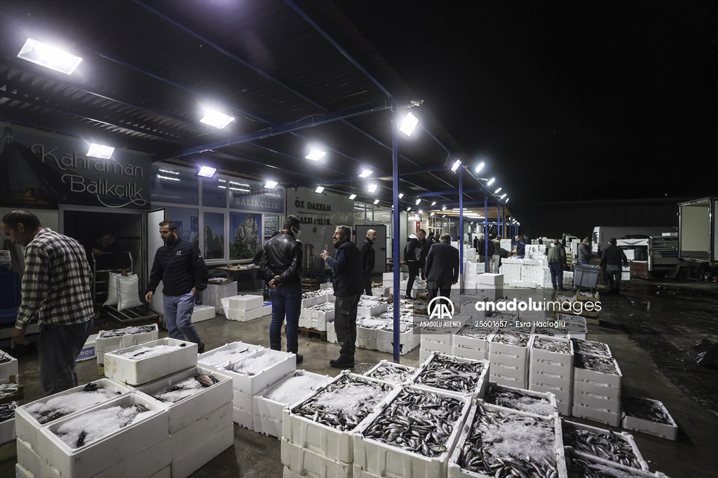 Fish market in Ankara after the beginning of fishing season