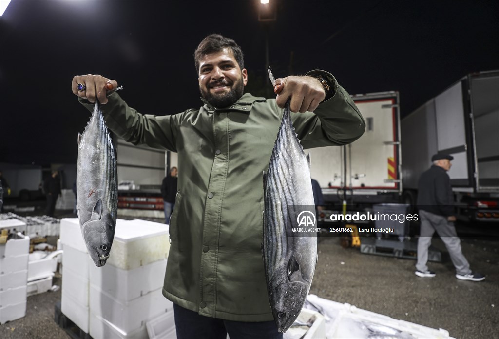 Fish market in Ankara after the beginning of fishing season