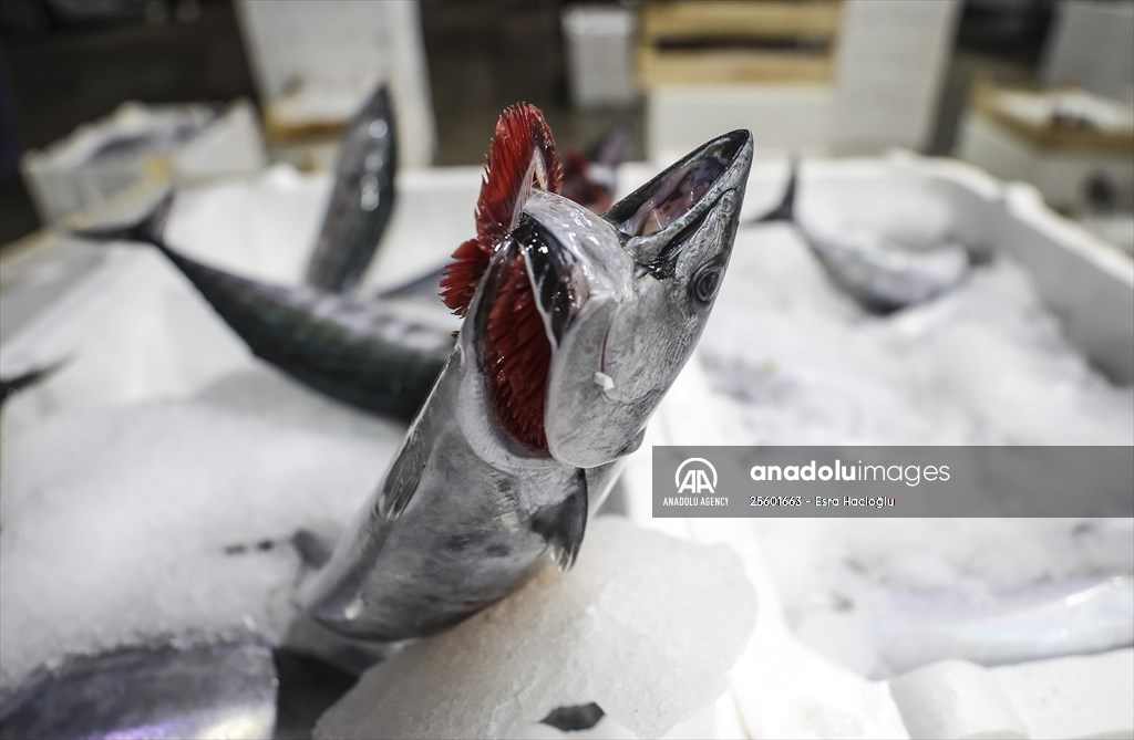 Fish market in Ankara after the beginning of fishing season