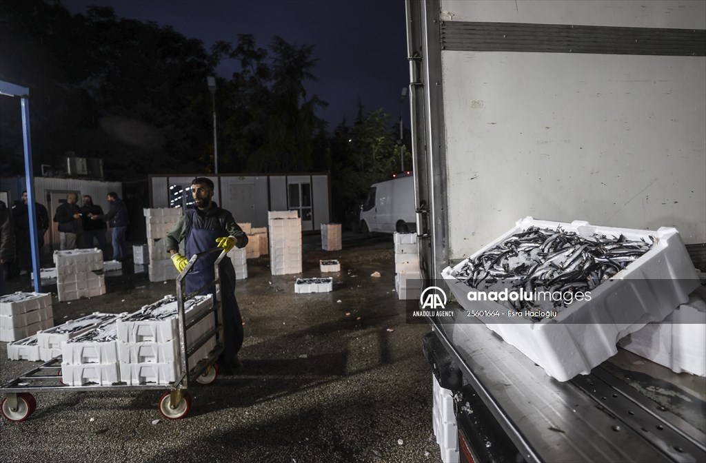 Fish market in Ankara after the beginning of fishing season