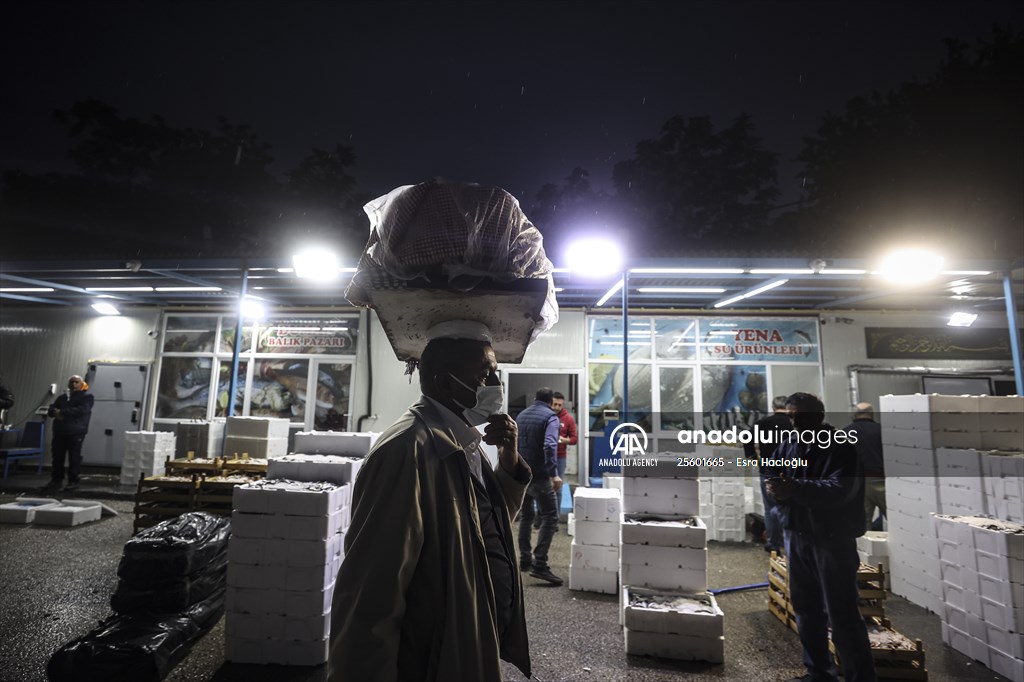 Fish market in Ankara after the beginning of fishing season