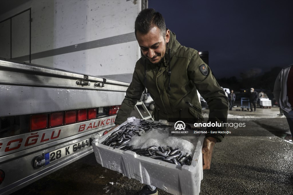 Fish market in Ankara after the beginning of fishing season