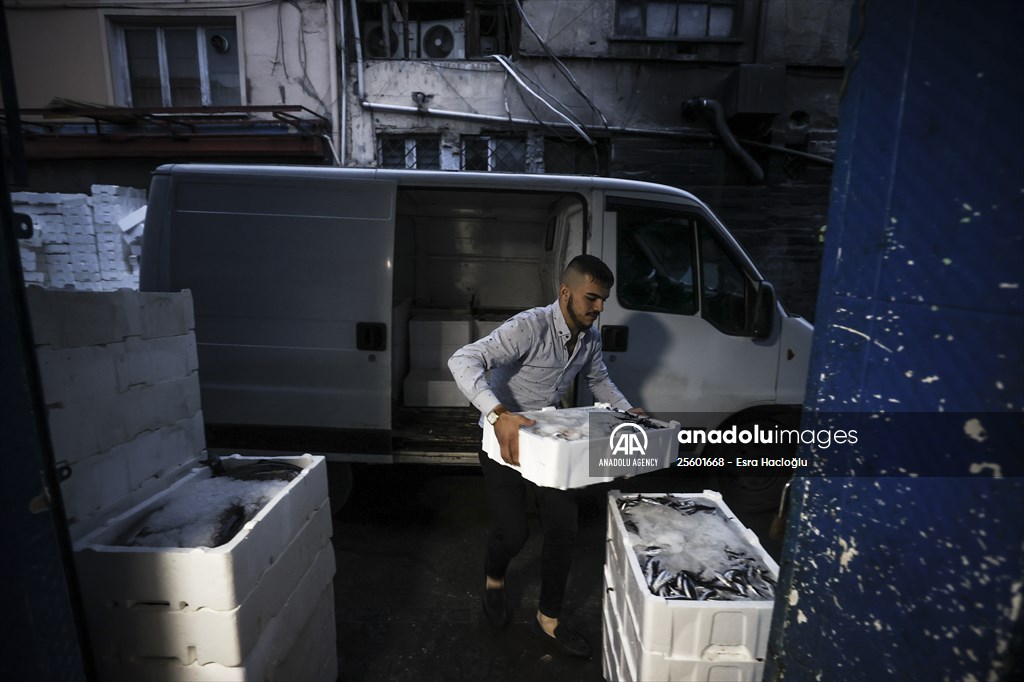 Fish market in Ankara after the beginning of fishing season