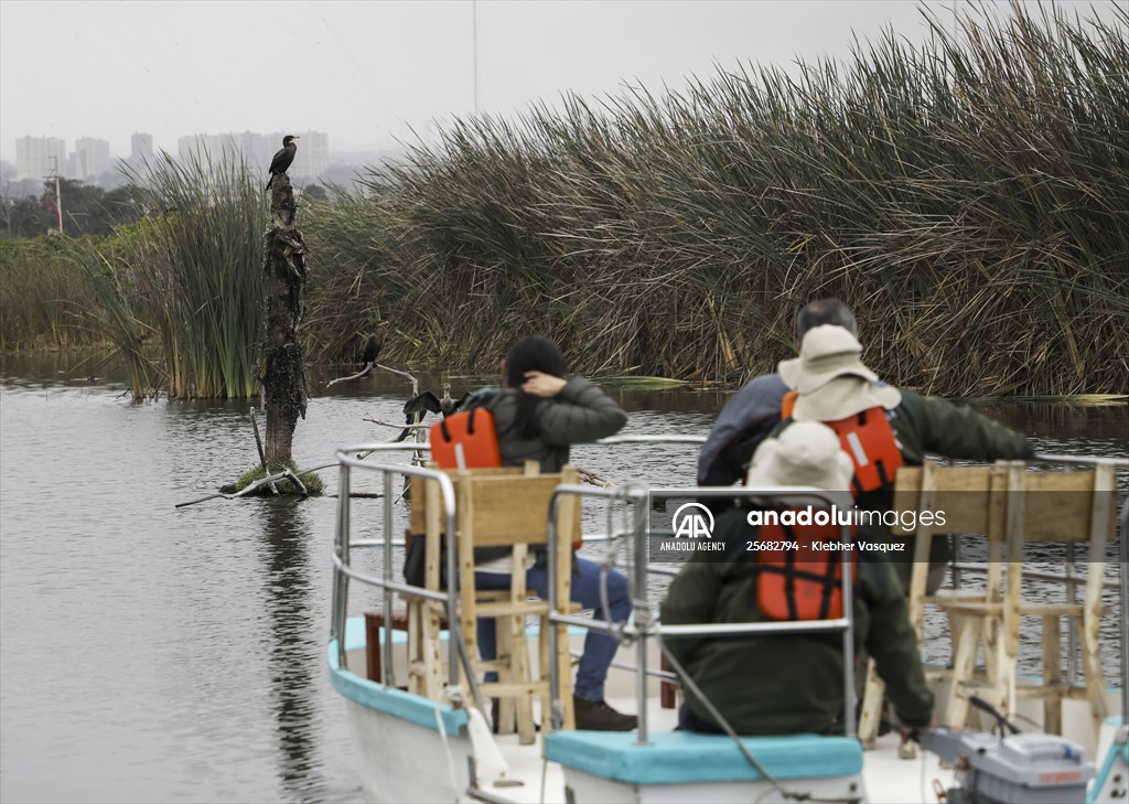 Wildlife Refuge Pantanos de Villa in Lima