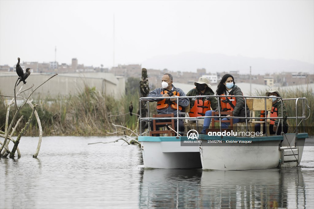 Wildlife Refuge Pantanos de Villa in Lima