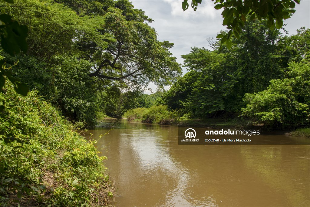 Indigenous Wayuu and water in the context of mining in La Guajira