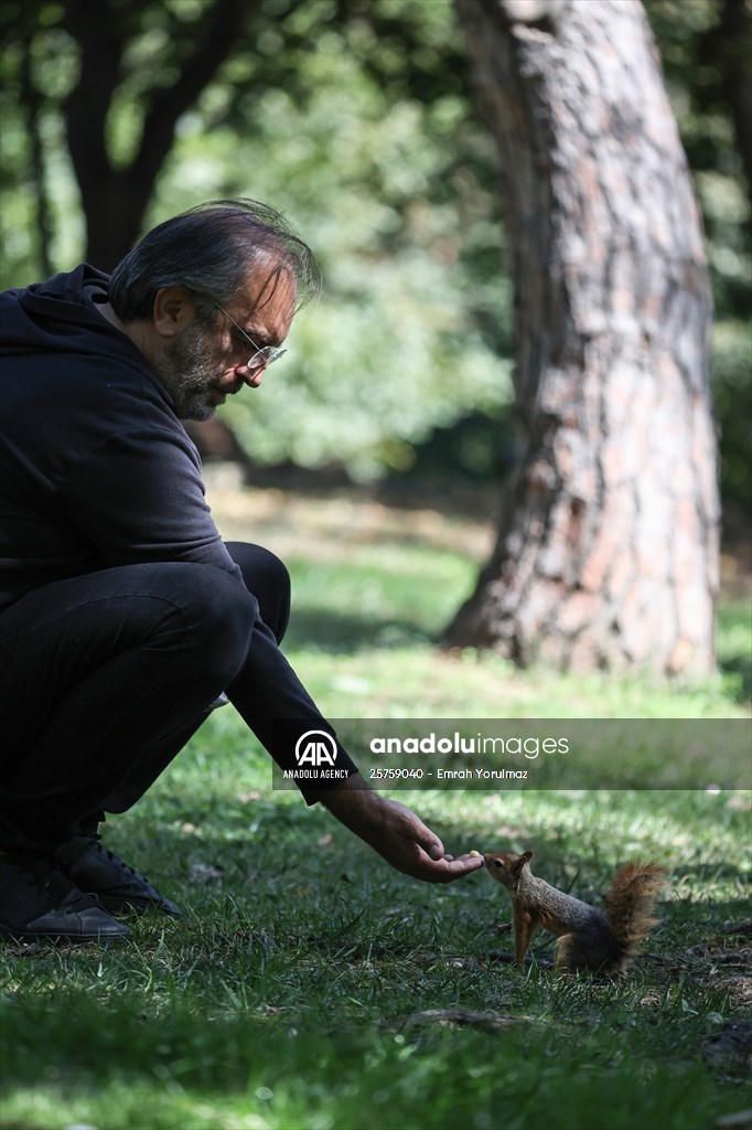 Squirrels in Istanbul's Emirgan Park