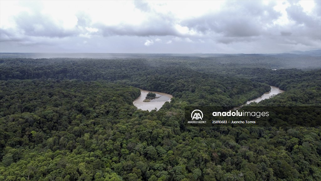 Colombia: Embera Dobida indigenous daily life at the jungle in Choco department