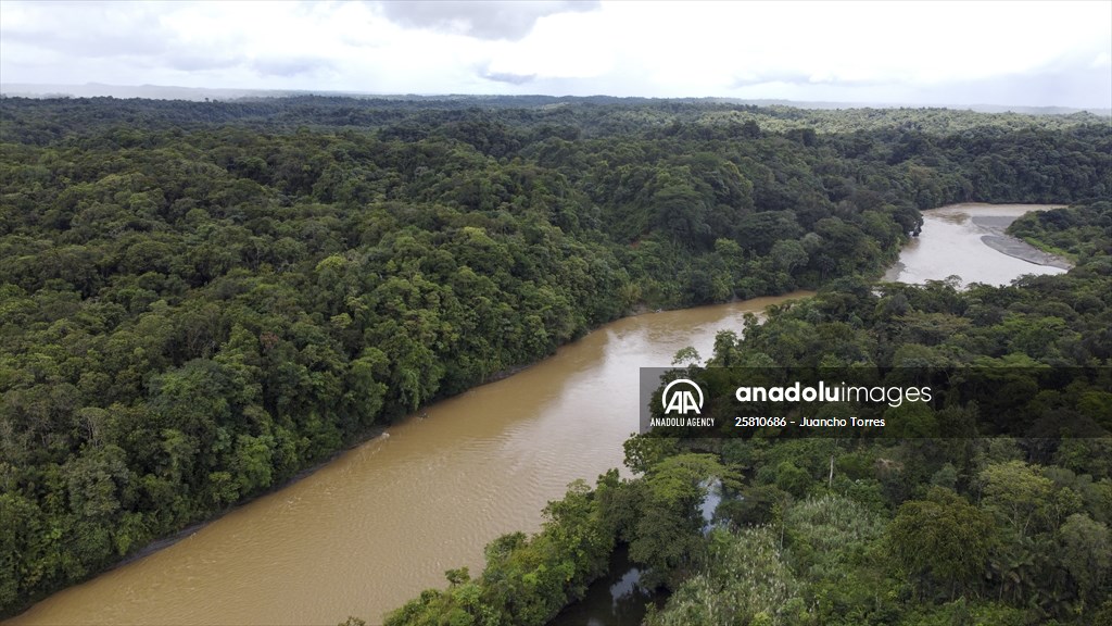 Colombia: Embera Dobida indigenous daily life at the jungle in Choco department