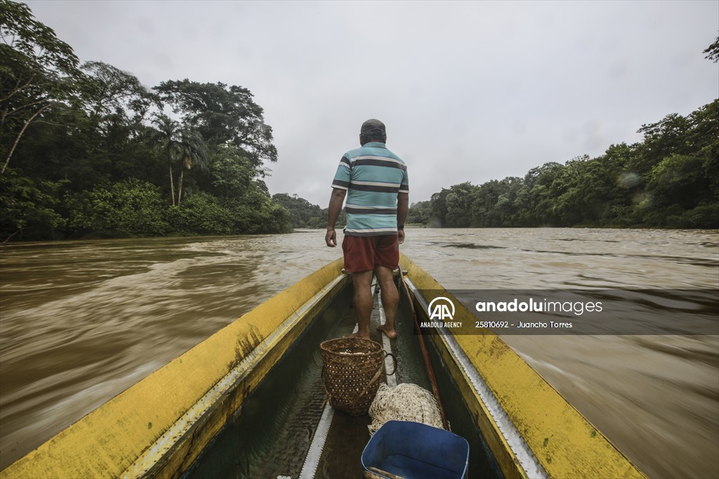 Colombia: Embera Dobida indigenous daily life at the jungle in Choco department