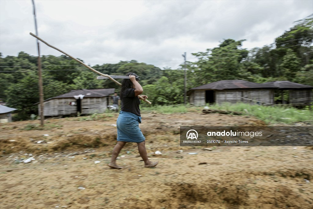 Colombia: Embera Dobida indigenous daily life at the jungle in Choco department