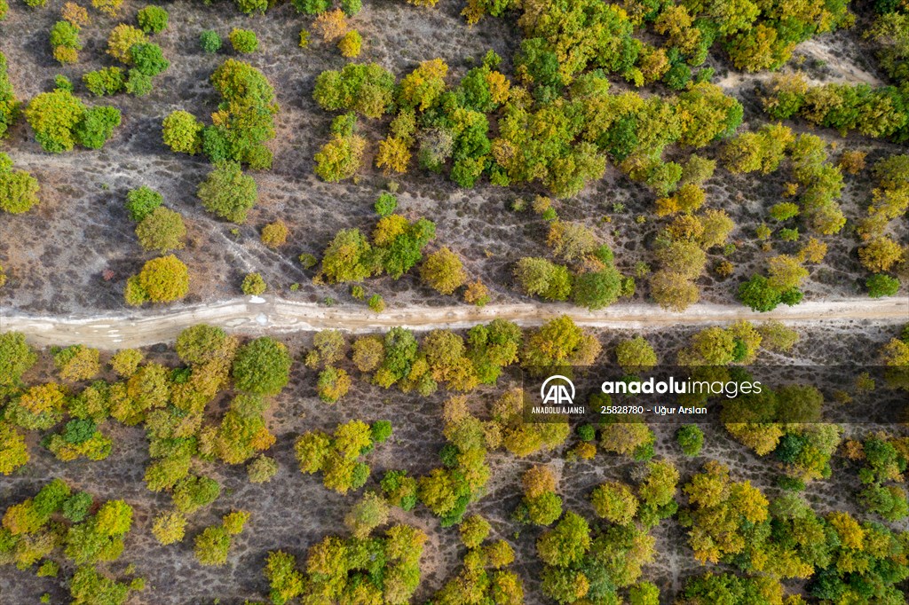 Tekirdağ'daki Kazak Gölü ve İkiz Göller sonbahar renklerine büründü