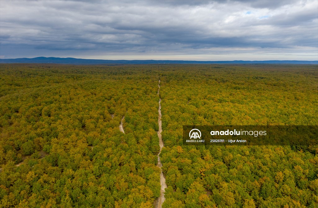 Tekirdağ'daki Kazak Gölü ve İkiz Göller sonbahar renklerine büründü