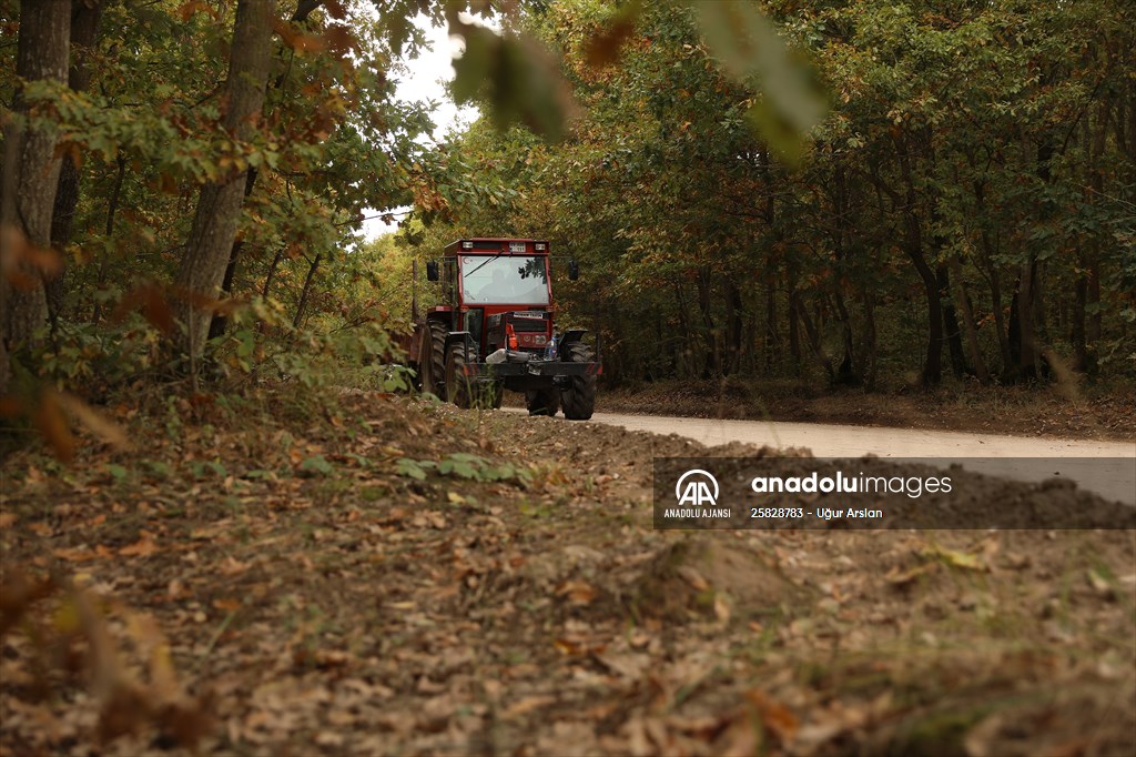 Tekirdağ'daki Kazak Gölü ve İkiz Göller sonbahar renklerine büründü