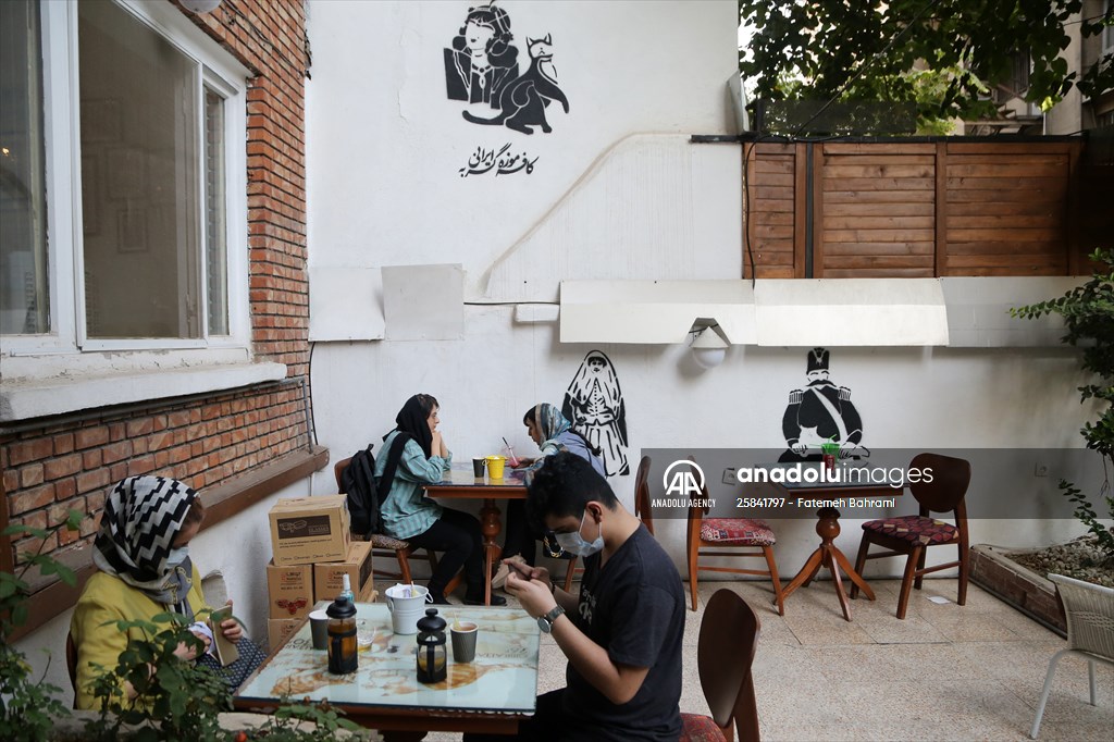 The extraordinary "Cat Museum" in Tehran