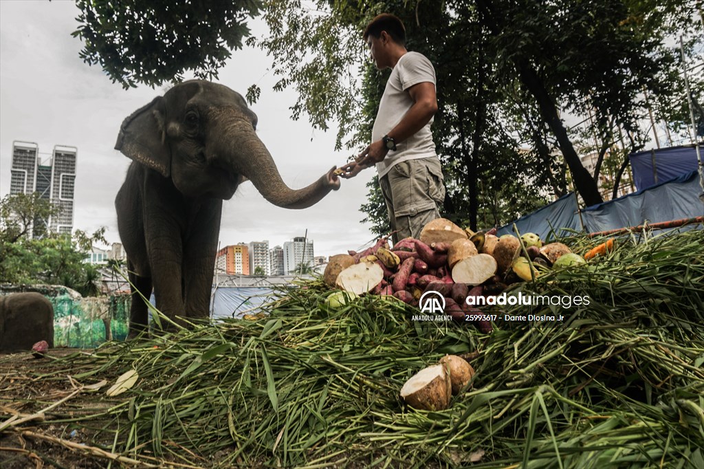 Zoo in Manila, Philippines