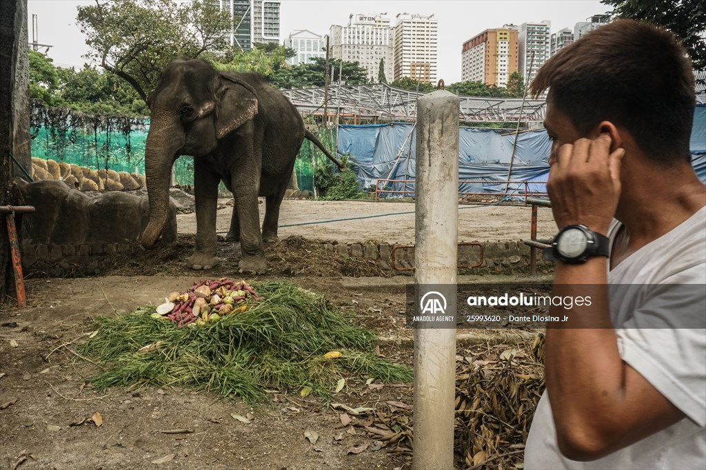 Zoo in Manila, Philippines