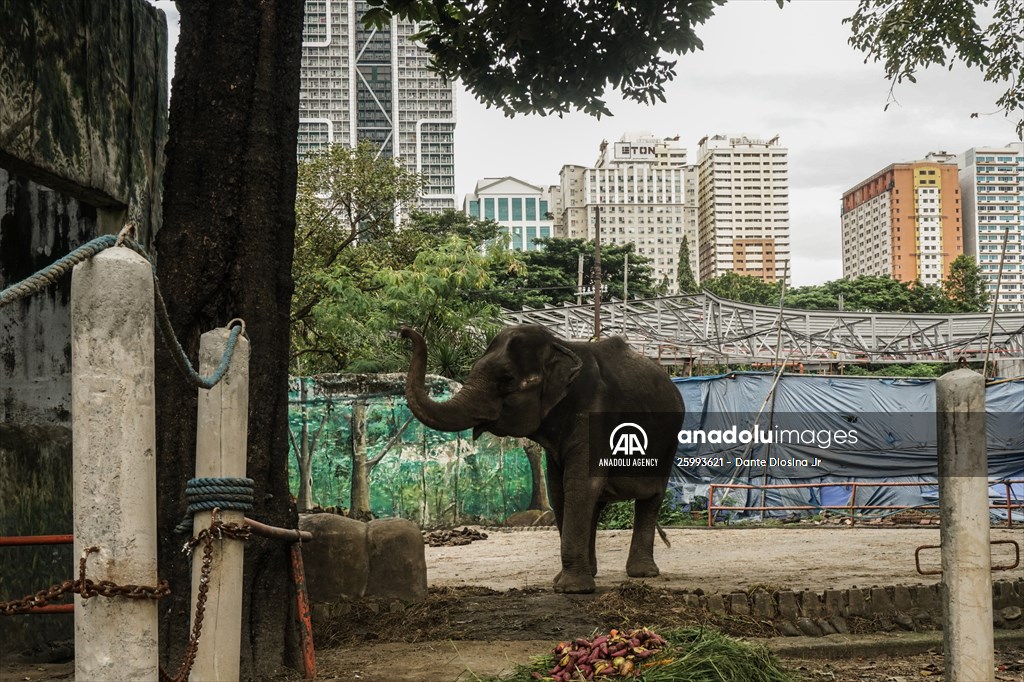 Zoo in Manila, Philippines