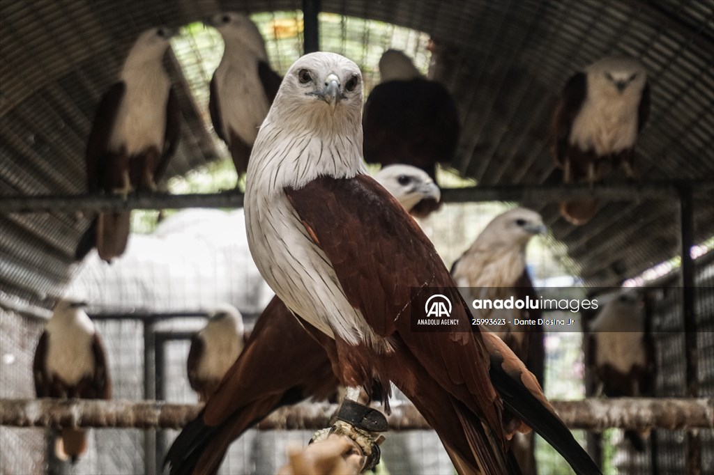 Zoo in Manila, Philippines