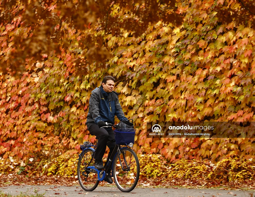 Autumn in Berlin