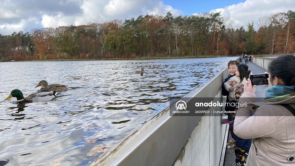 Bokrijk Park in Belgium's Genk