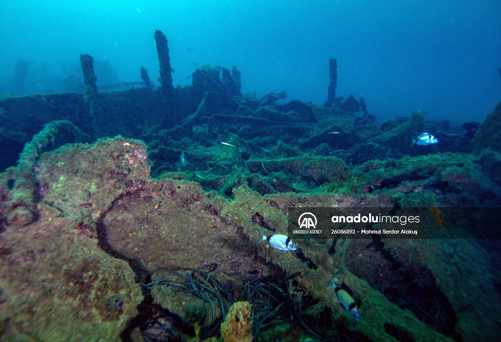 The shipwreck of H.M.S. Majestic in Gallipoli Historical Underwater Park