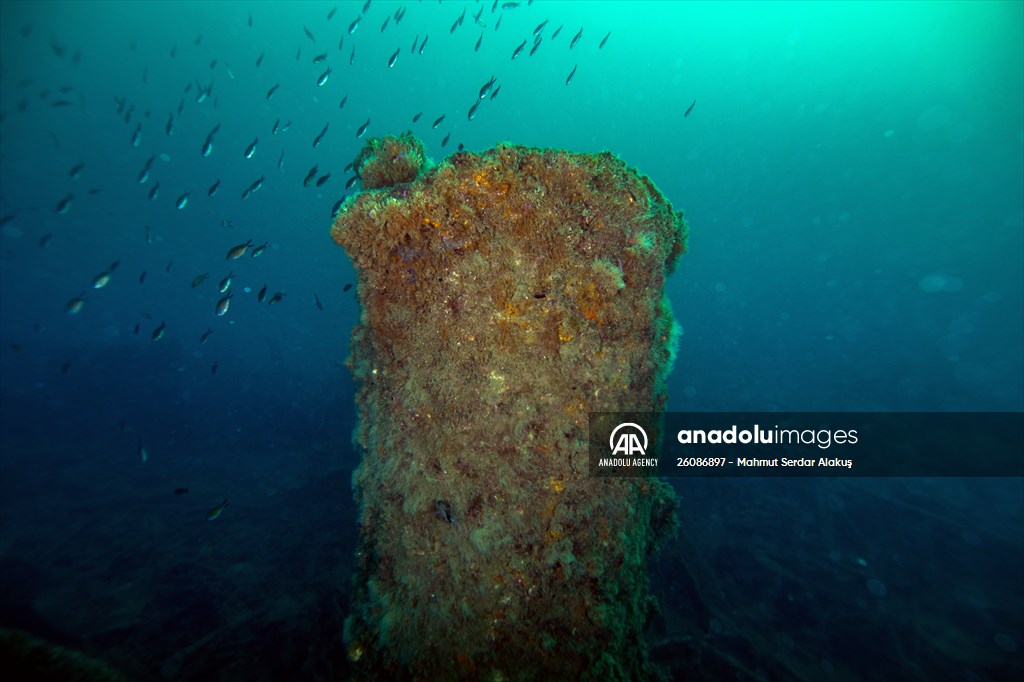 The shipwreck of H.M.S. Majestic in Gallipoli Historical Underwater Park