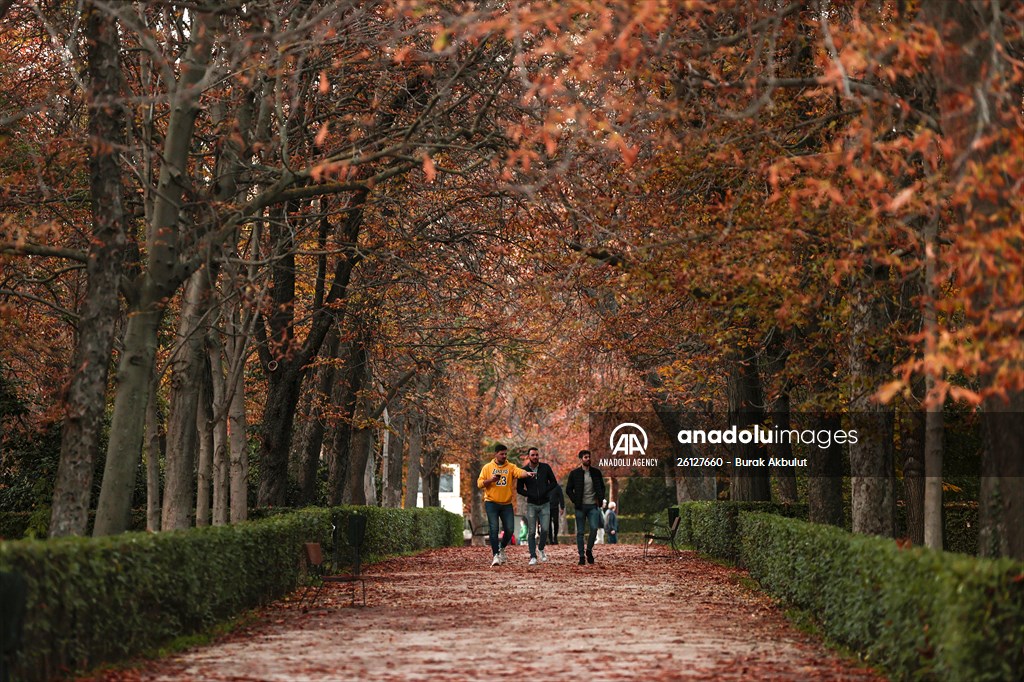 Autumn in Madrid