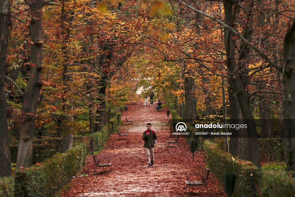 Autumn in Madrid